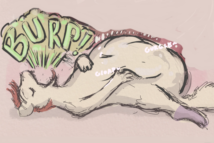 Blitz letting out a heavy belch from a good meal.